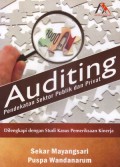 Auditing Pendekatan Sektor Publik dan Privat